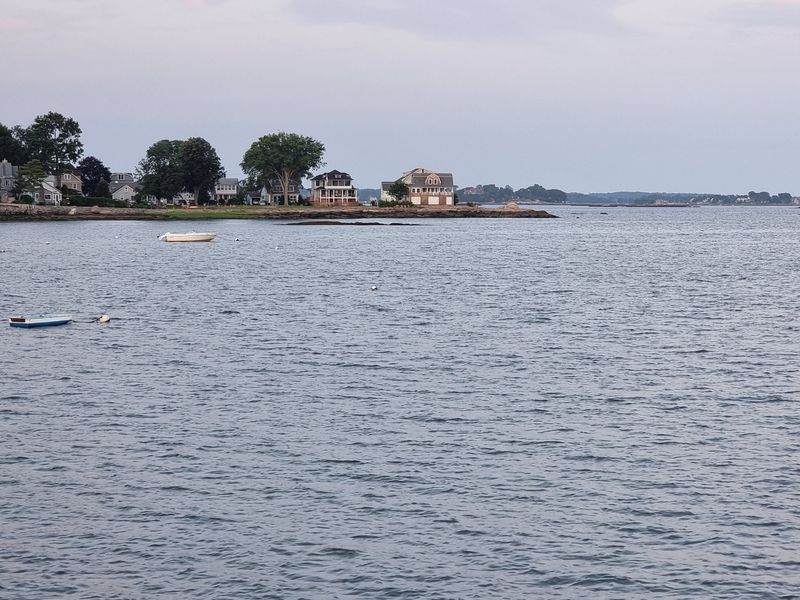Take In The View Of Sybil Marsh