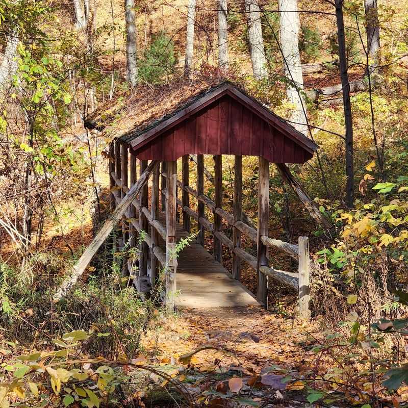 Enjoy a Fall Walk Without a Castle Tour