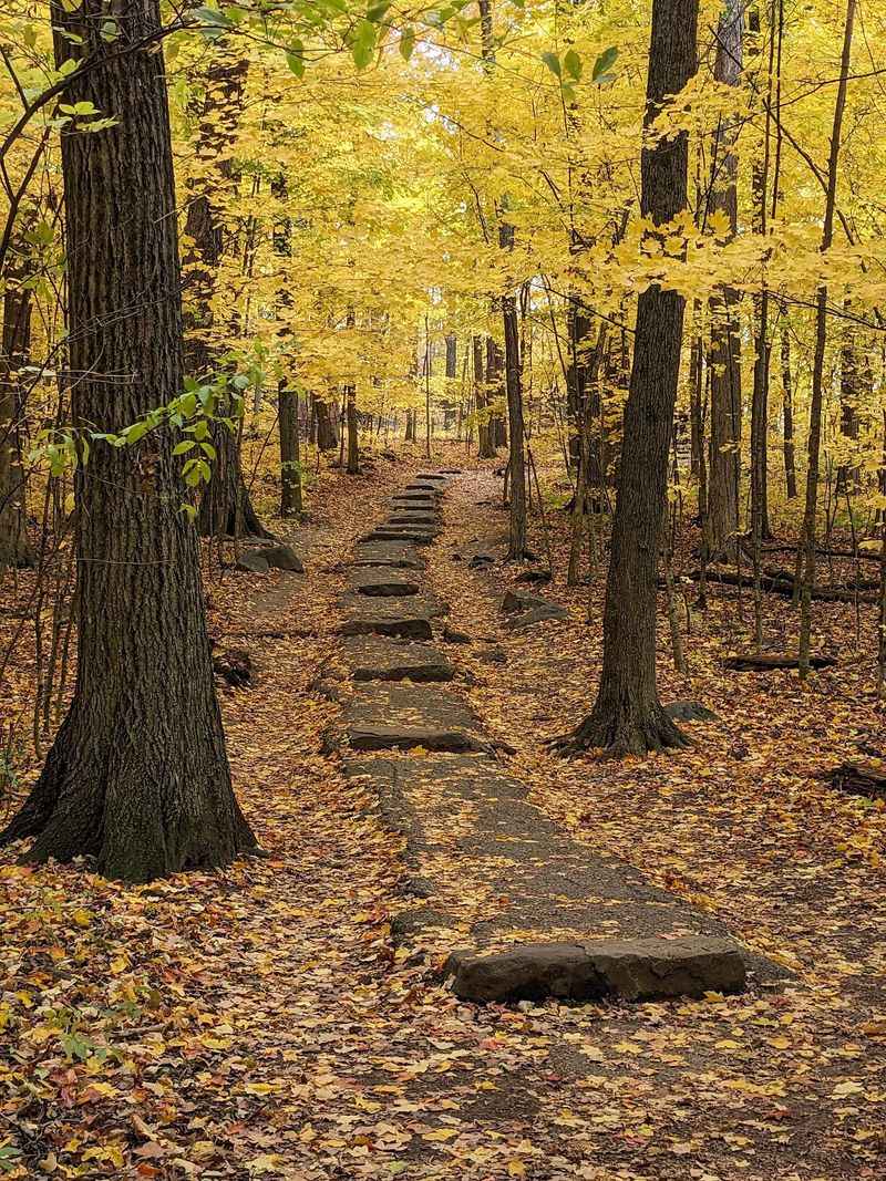 Follow a Bluff-to-Bluff Route