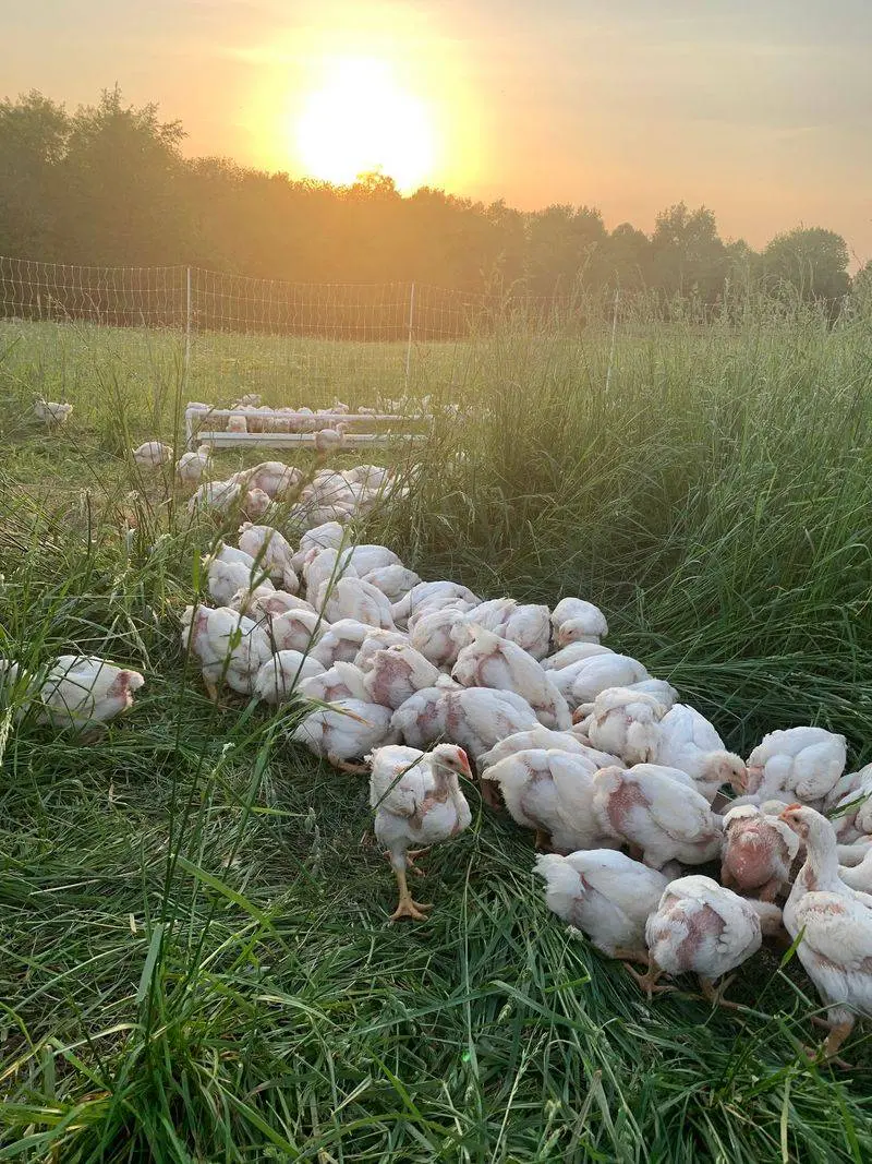 Slaughter Family Farm