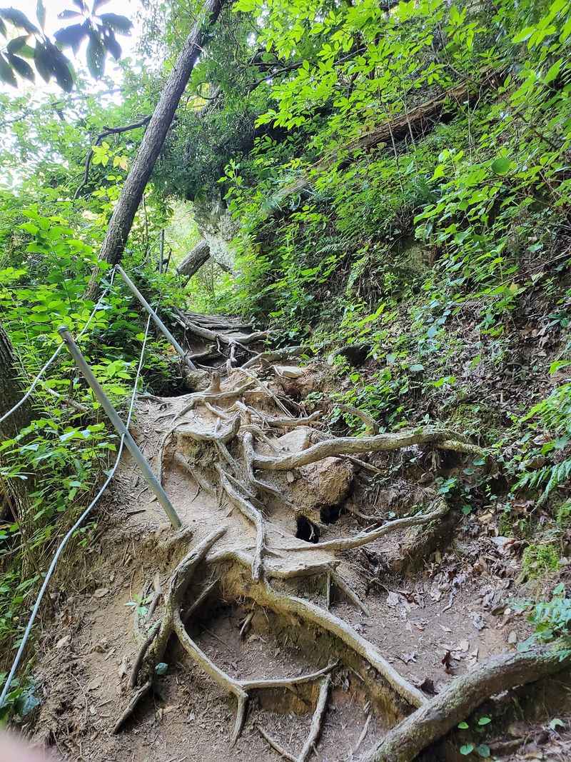 Storm Damage Means This Trail Is For Seasoned Hikers Right Now