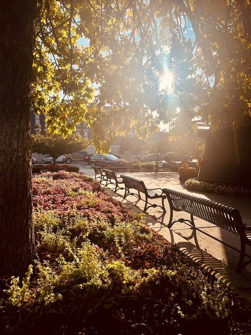 Find a Bench in the Park Everyone Gathers Around