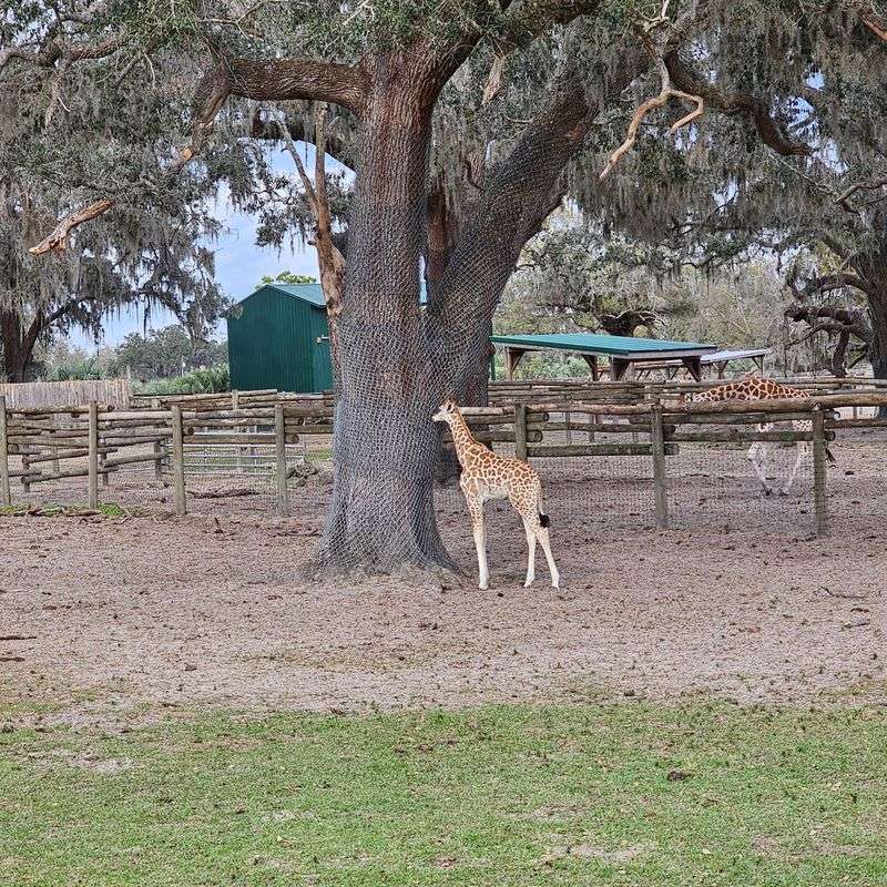 Zookeepers At Heart Built This Farm Into Something Special