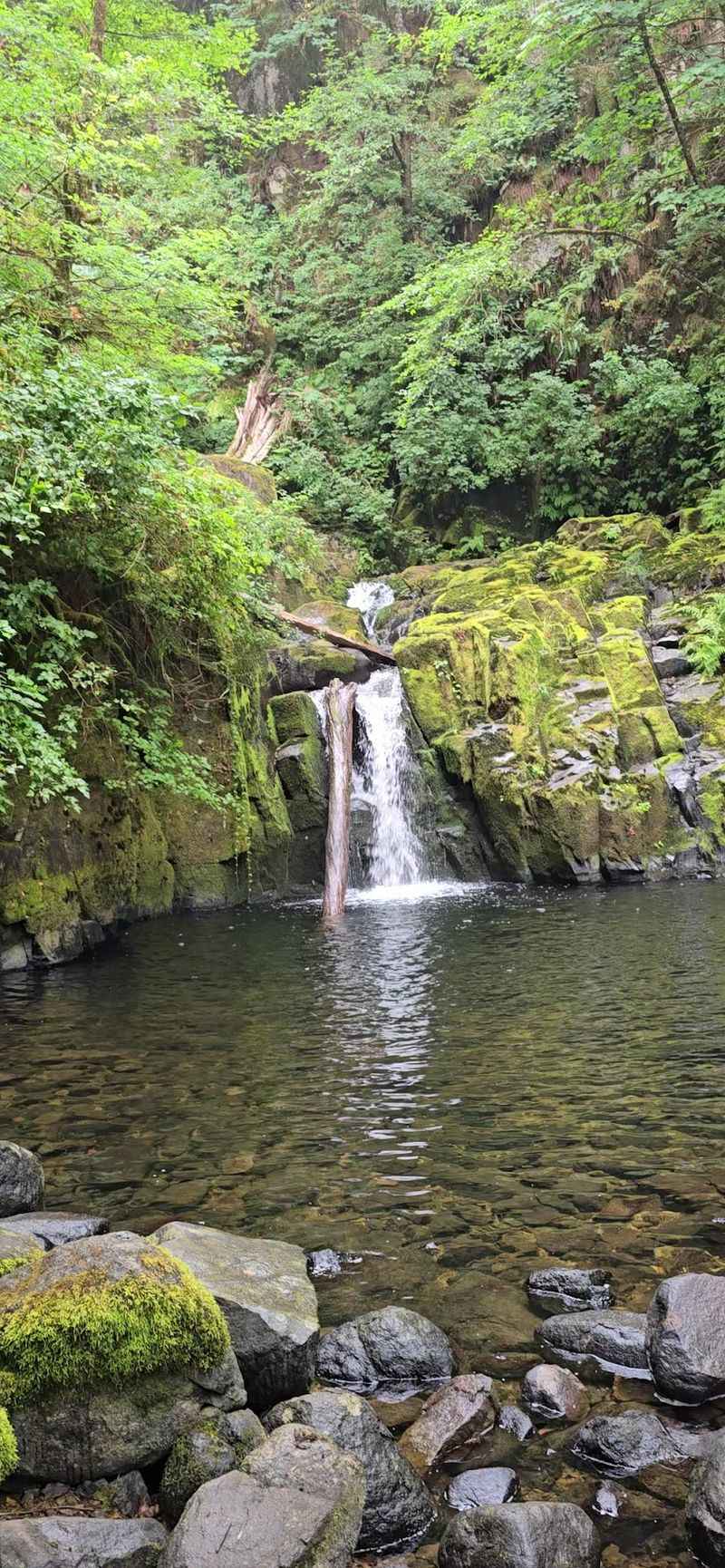 Swimming Holes Worth Packing A Suit For