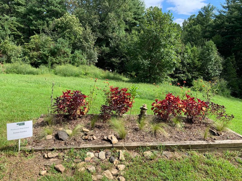 Plant Labels Connect Make-Believe With Real Nature