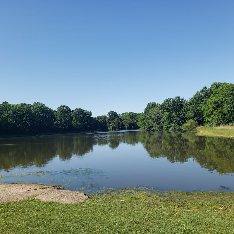 A Lake For Fishing And Lazy Afternoons