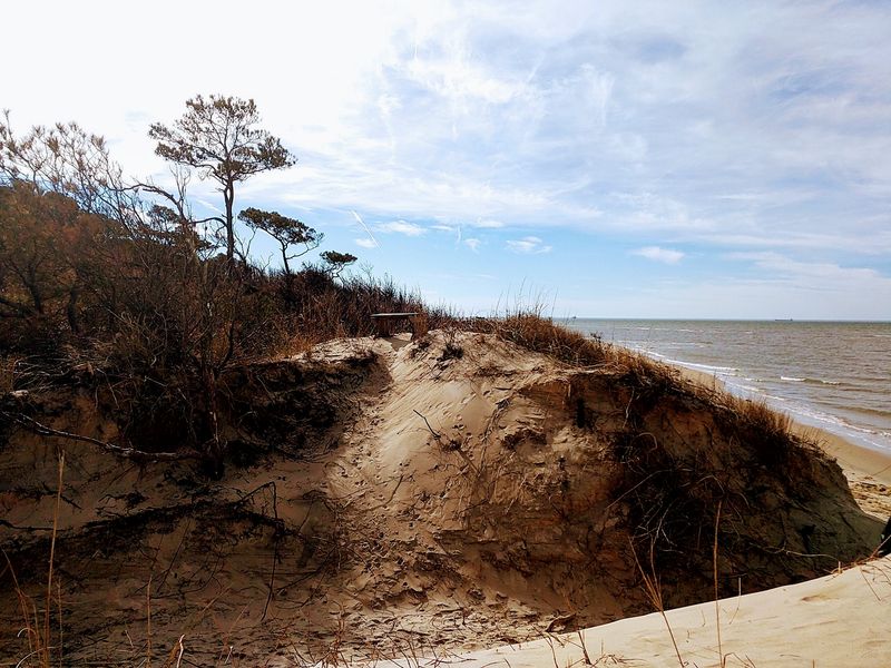 Savage Neck Dunes Natural Area Preserve