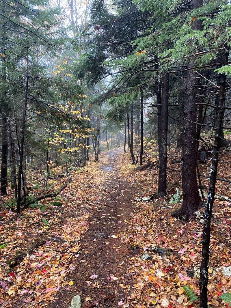 Mount Greylock And North Adams: Chase Big Mountain Views And Bright Foliage