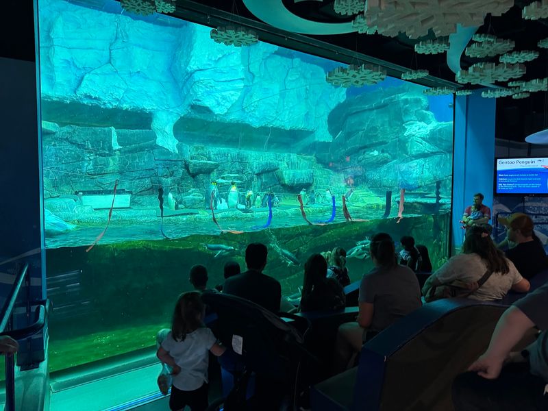 Little Ones Get A Playground And A Sensory Room