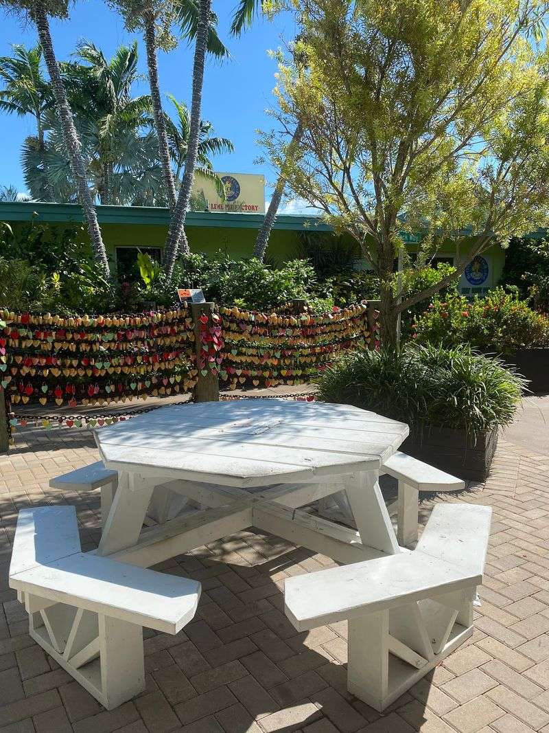 A Garden Made for Slowing Down