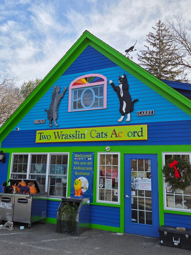 A Colorful Coffee Stop With Plenty of Character