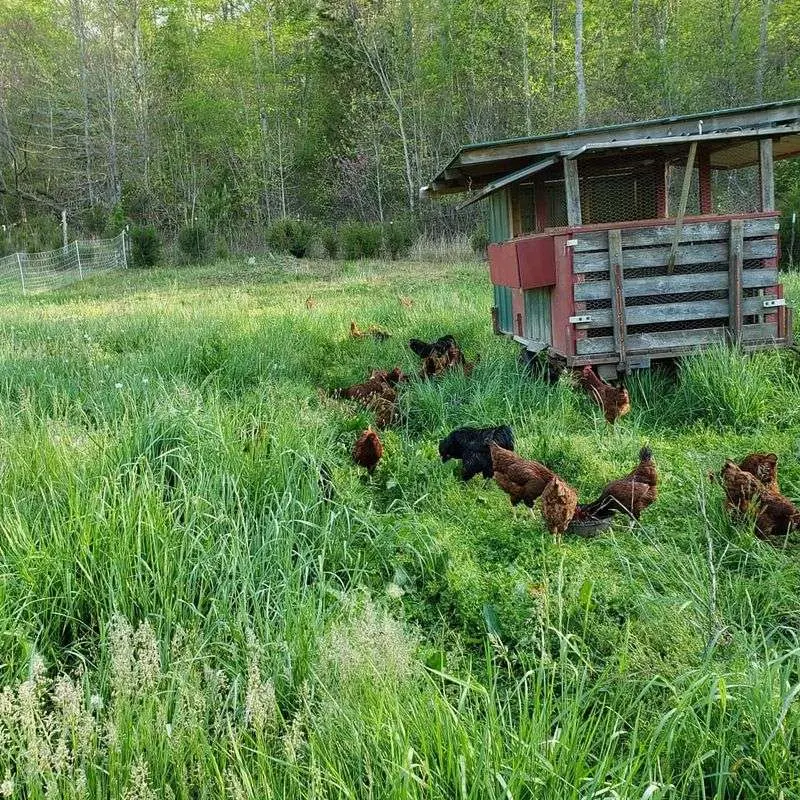 Serenity Valley Farms