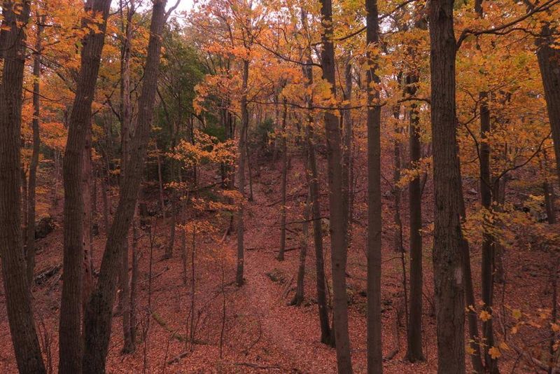 Mount Holyoke Range State Park