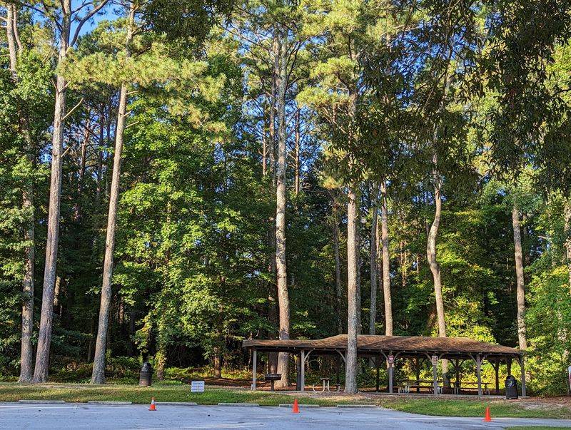Pack A Lunch Because The Picnic Shelters Have Your Back