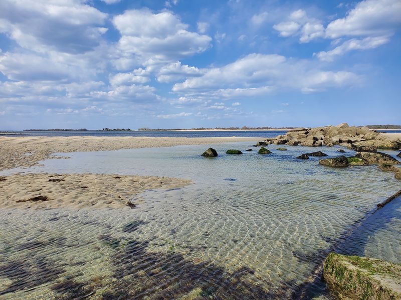 Bird Watchers And Beach Fans Have Room To Roam