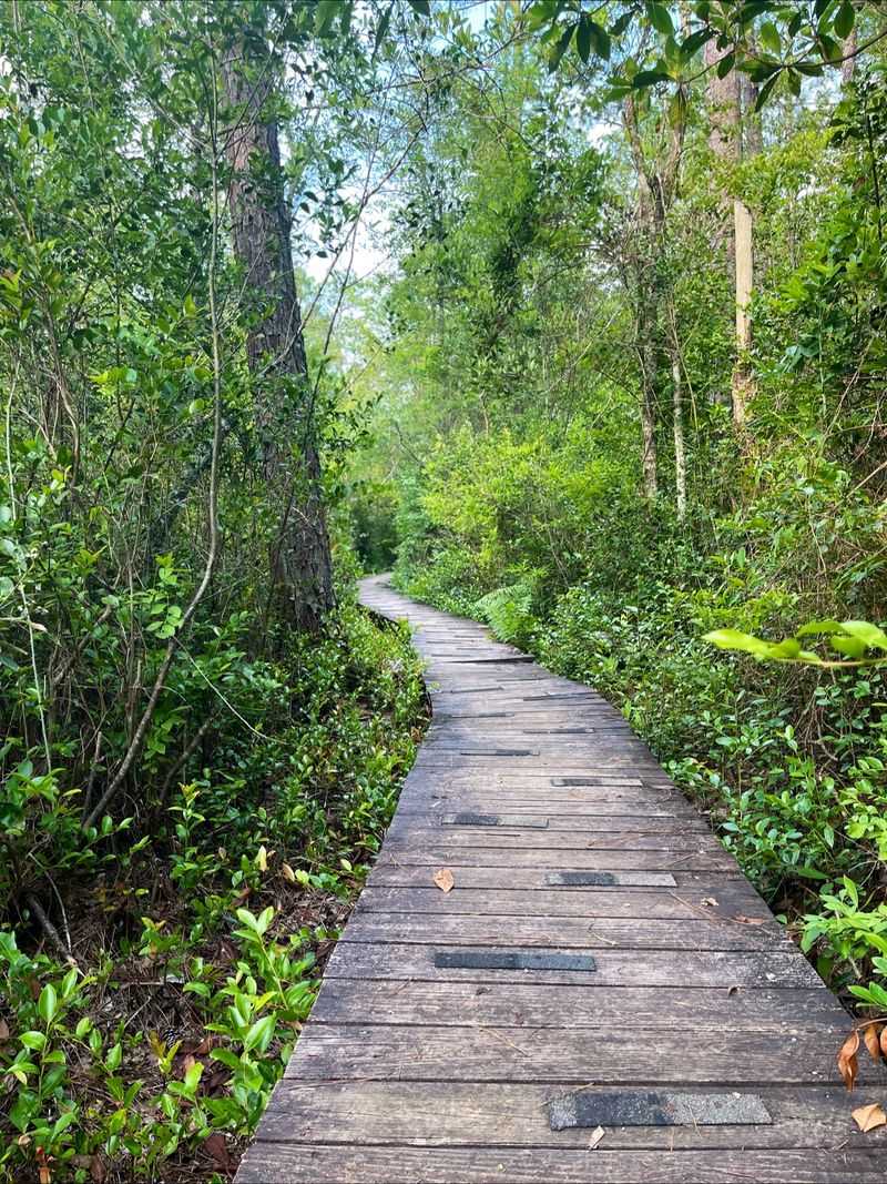 Lace Up For A Wild Little Loop Called The Jungle Trail