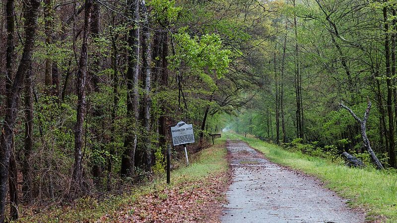George Washington Saw Land to Change and Profit From