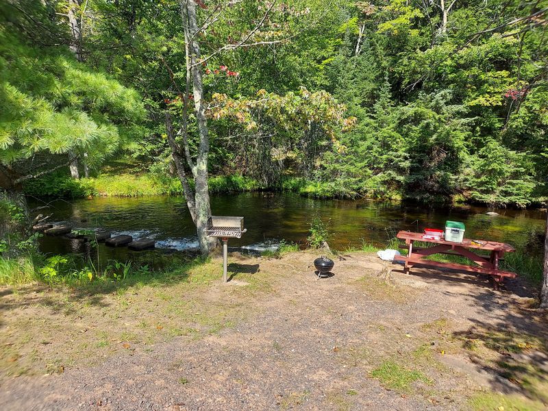 A Simple Picnic Makes the Visit Feel Unhurried