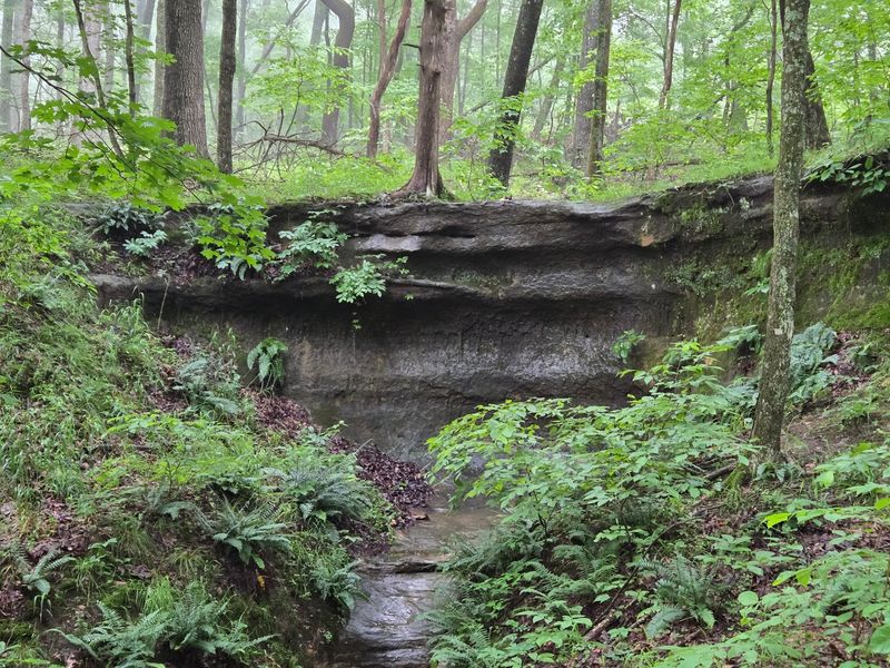 Why This Quiet Gift Belongs On Your Missouri List