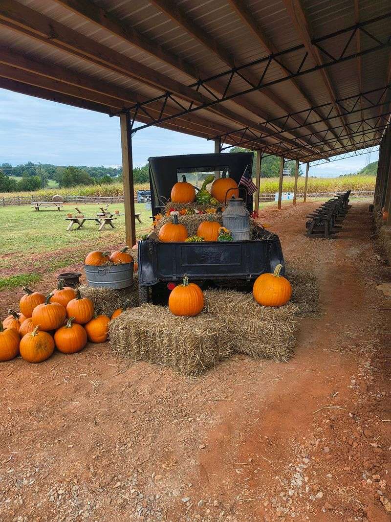 Huckleberry Trail Farm