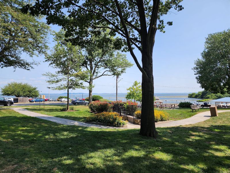 Picnic Tables, Grills, And A Big Grassy Lawn
