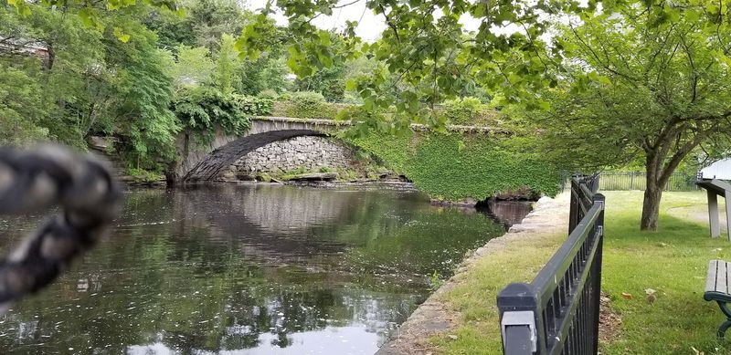 An 1857 Stone Bridge Blooms Right Next Door