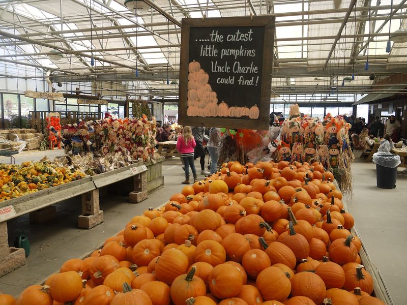 Trax Farms, Finleyville, Washington County