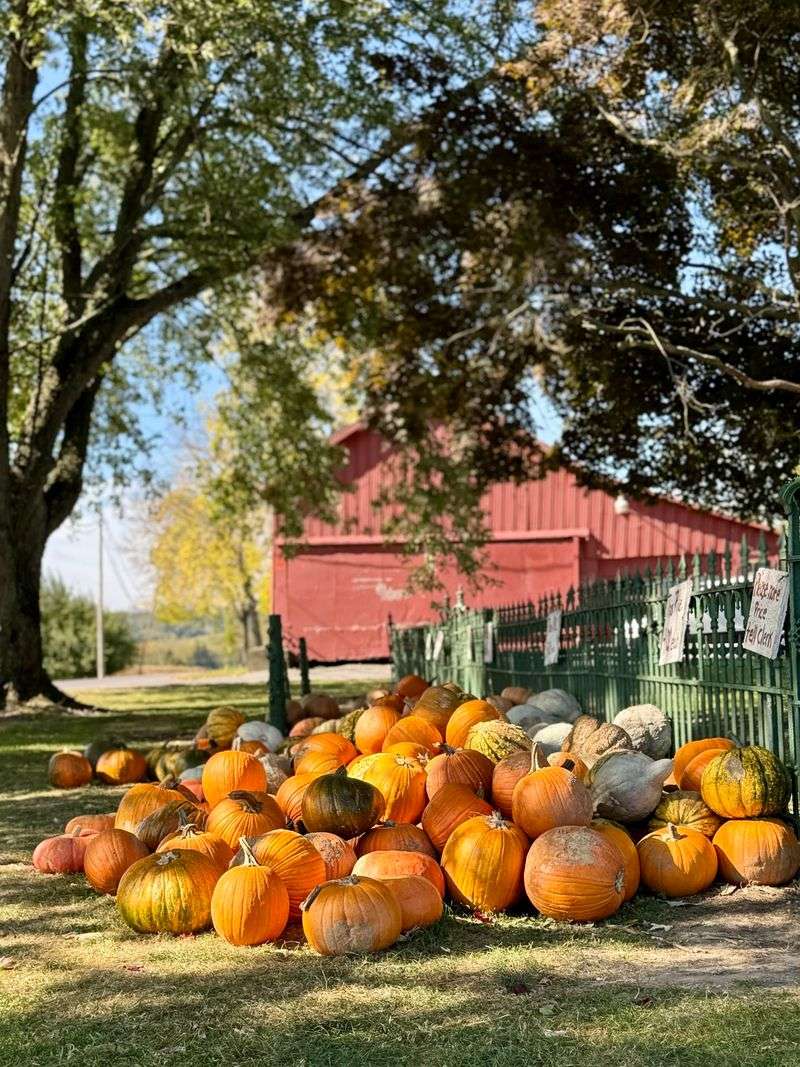 Gulicks Fruit Farm LLC