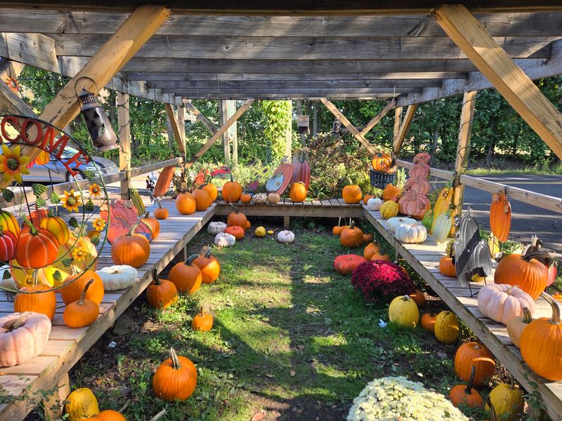 Tabora Farm & Orchard