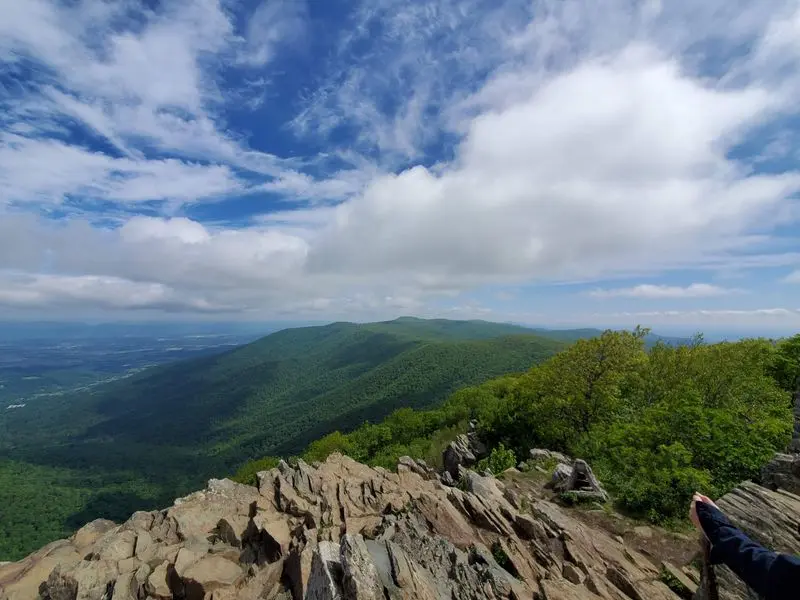 The Creation of Shenandoah National Park Displaced Hundreds of Families