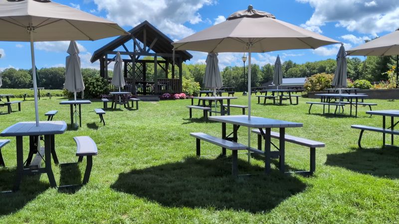 The Patio Is Where Afternoons Quietly Disappear