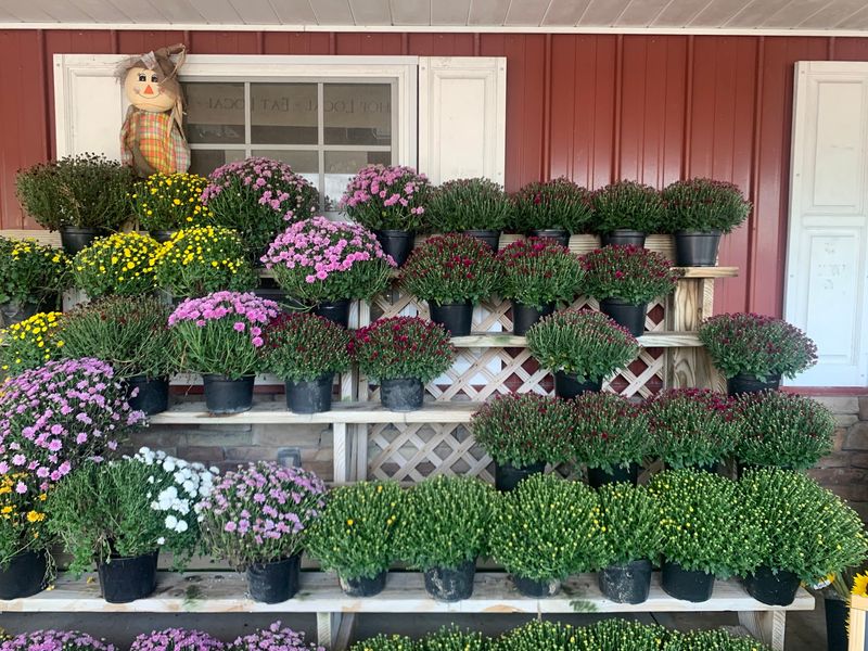 Bedner's Farm Fresh Market