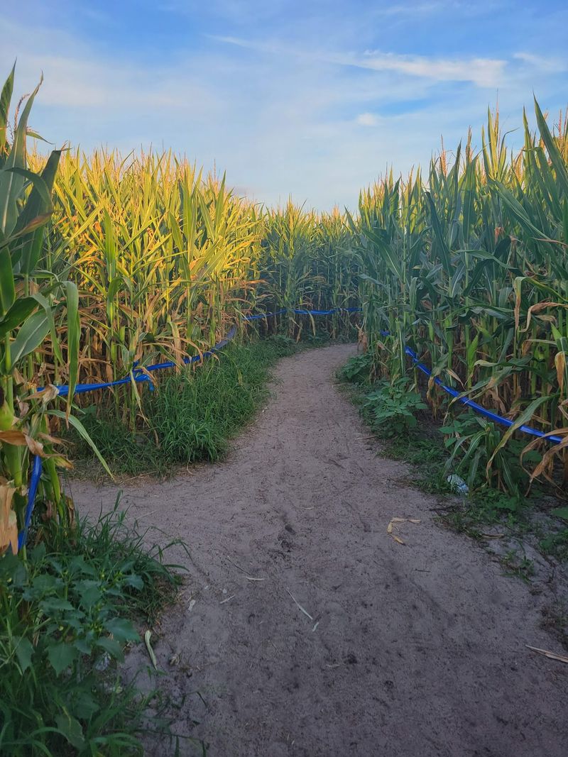 Long & Scott Farms