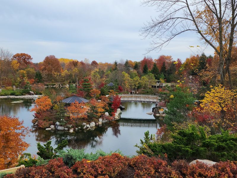 Slow Down Completely In Eight Acres Of Japanese Calm