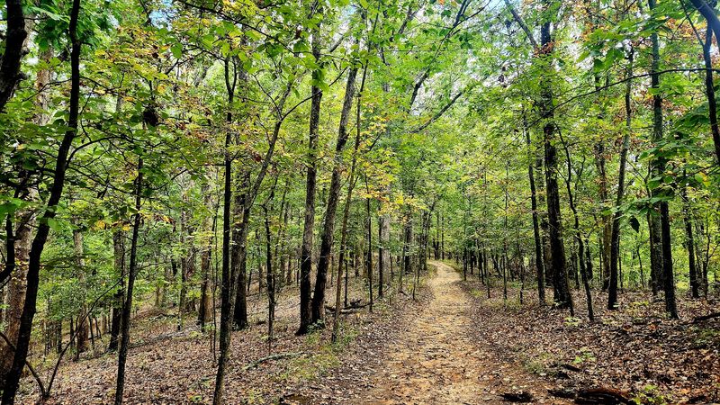 The Climb That Earns You A Quiet Ridge Top