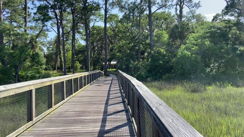 Follow The Footsteps Of Freedom Seekers On A Shady Woodland Path
