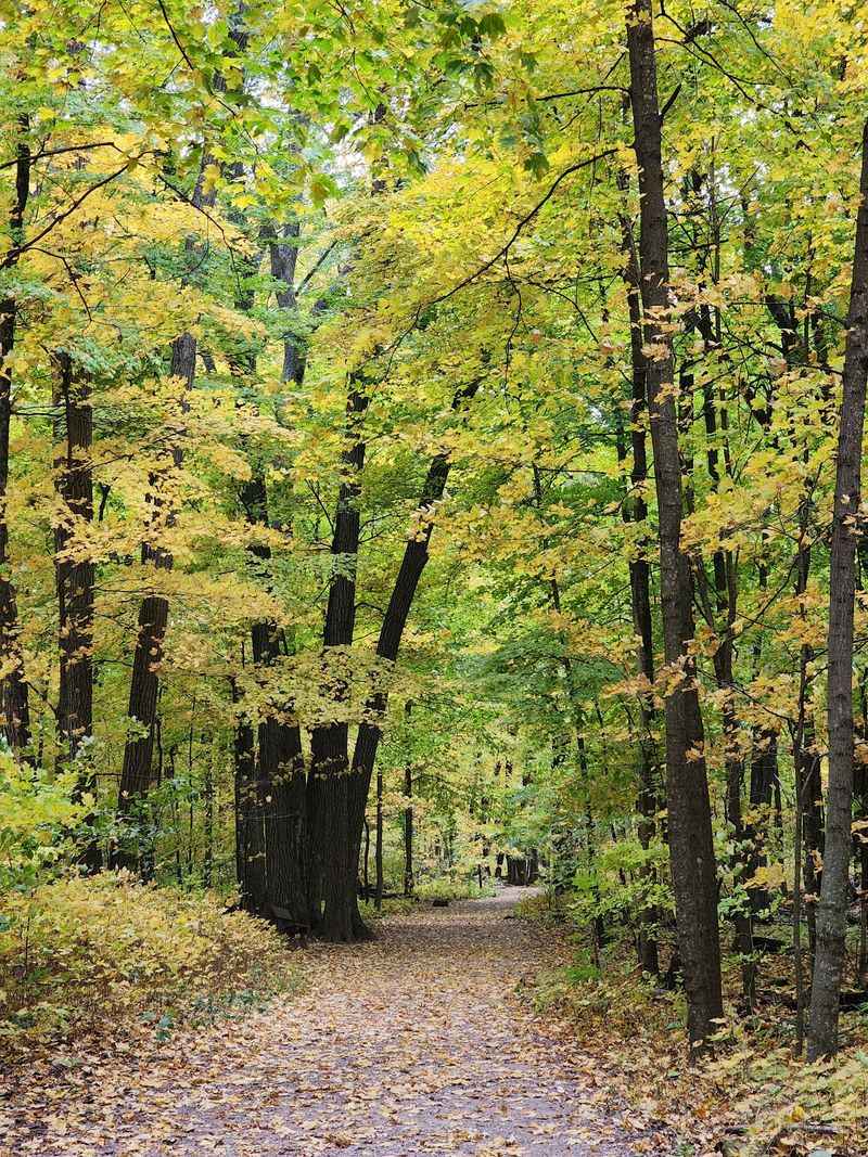 Take In the Colors From the East Bluff Trail