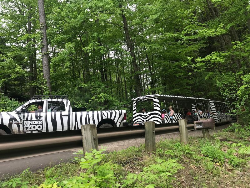 Ride the Wilderness Tram Into Wild Africa