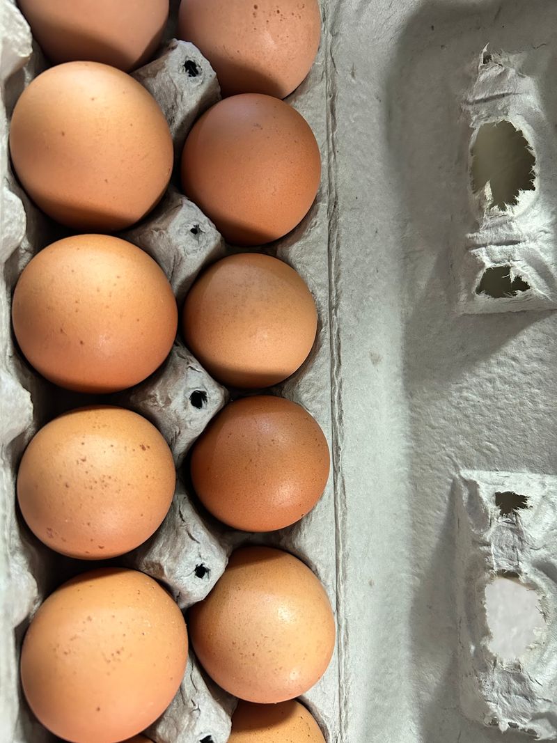 Orange Yolks and Raw Milk in the Cooler