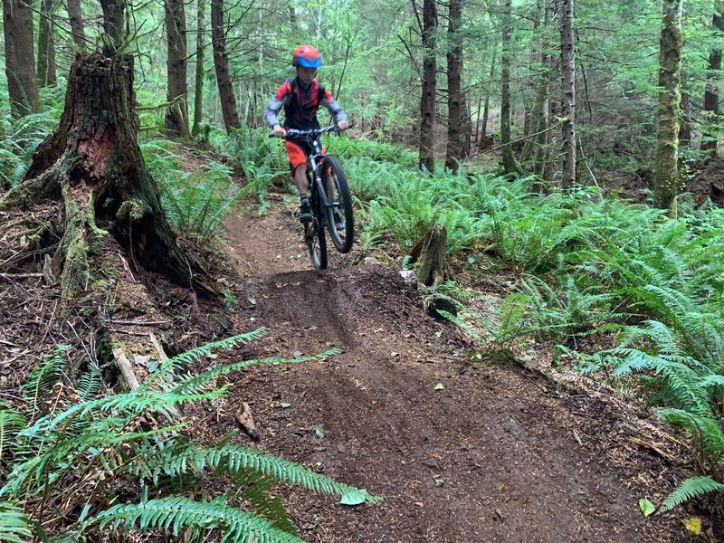 Mountain Bike Trails Worth Whooping About