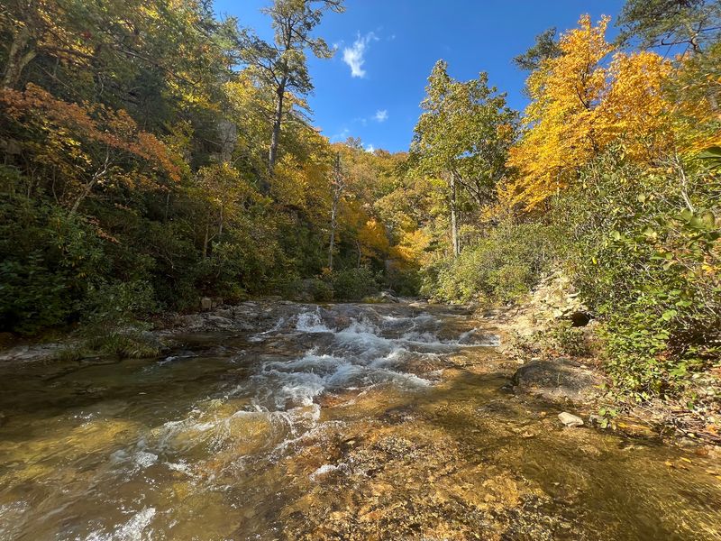 Take the Rugged Route Through Saint Mary's Wilderness