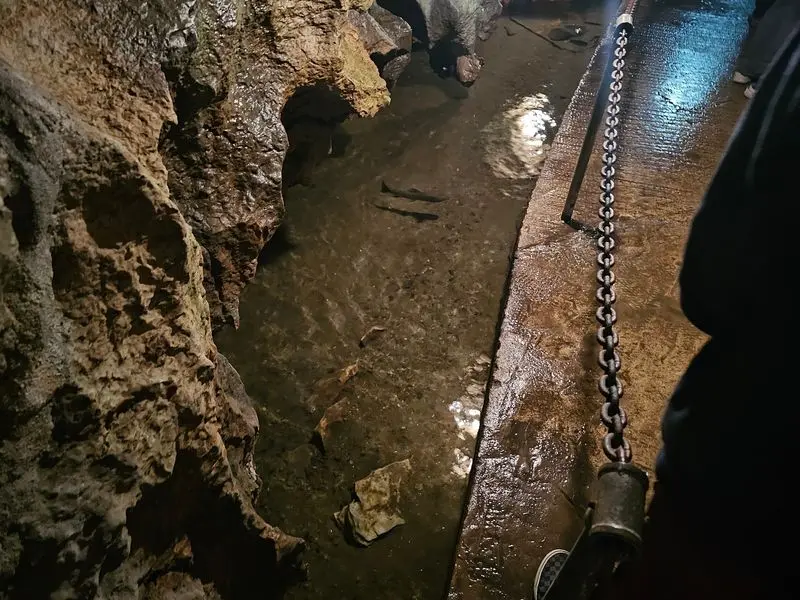 See the Underground Lake and Native Trout