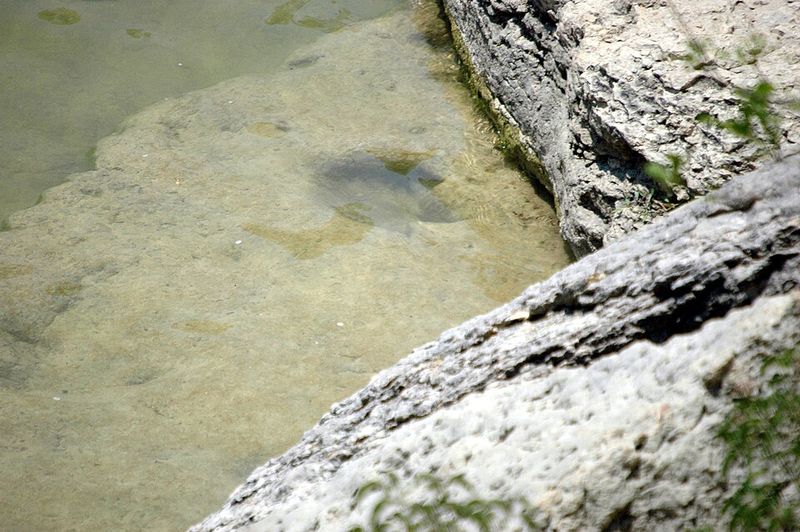 Stand Beside a Sauropod Footprint