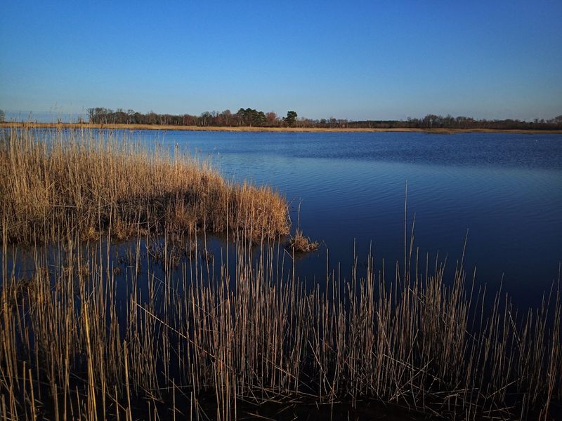 Walk Straight Into Prime Hook’s Marshland