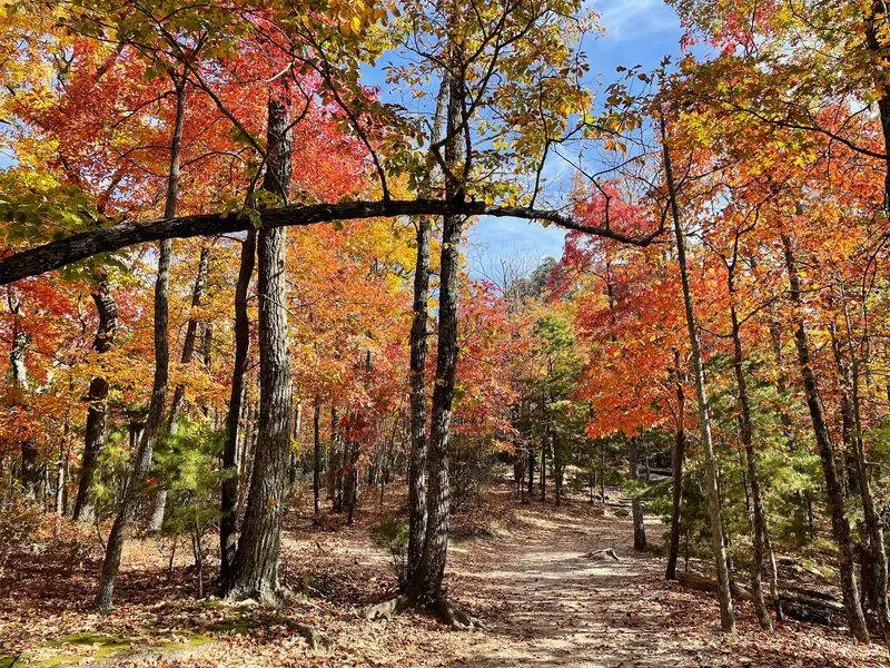 Hanging Rock State Park - Danbury