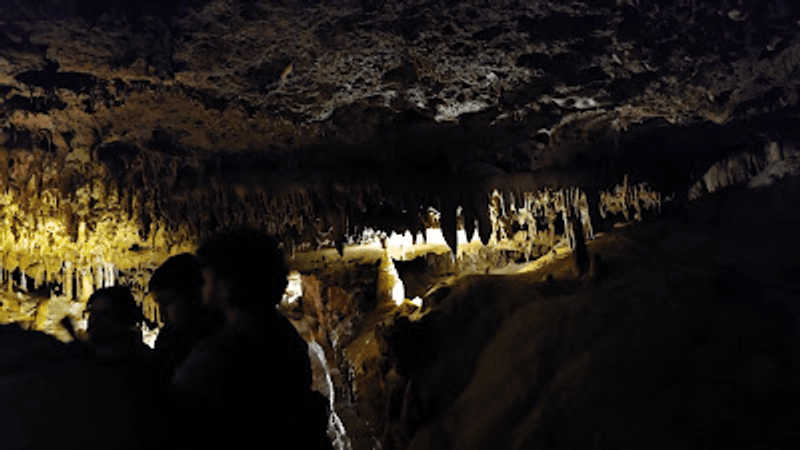 An Easy Introduction on the Adventure Tour