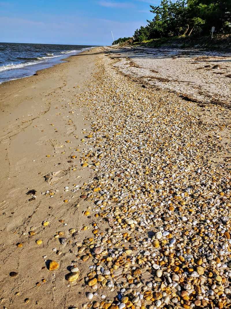 Take In More Than Just The Boardwalk