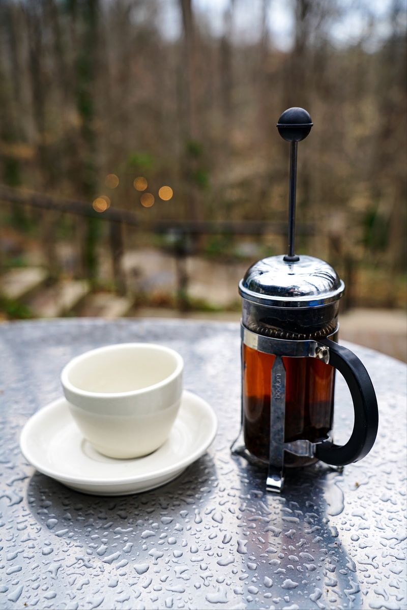 A Woodland Reading Hideaway: Caffe Driade, Chapel Hill, Orange County,
