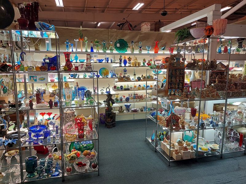 Glass Cases Full Of Small Wonders