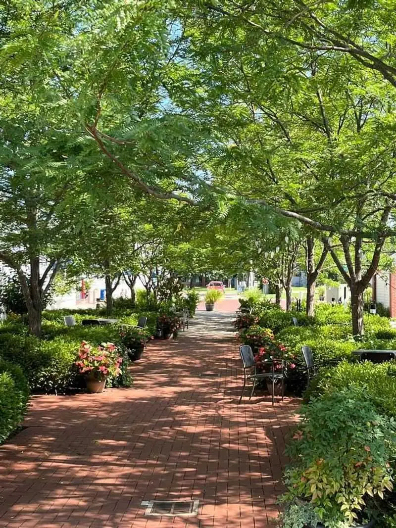 An Easy Walk To Campus, Crafts, And Pottery Wheels